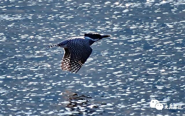 【冬游房山】打卡这十件小事，解锁你的过冬仪式感
