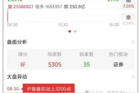A股暴涨 35分钟成交破万亿！又有多家券商软件崩了 有网文作者称“财富自由了”图片