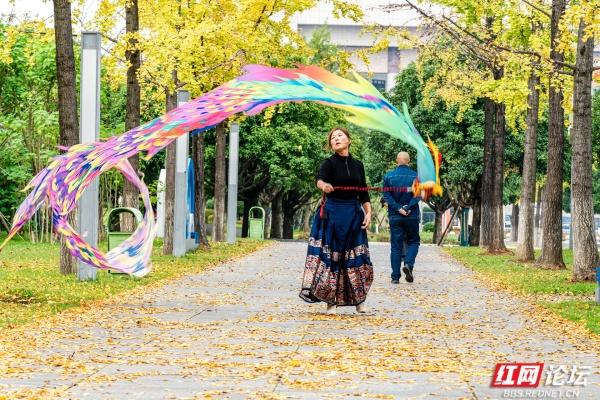 岁暖时刻丨湘府公园银杏季：看叶、玩耍、晒太阳，长沙人的欢乐场