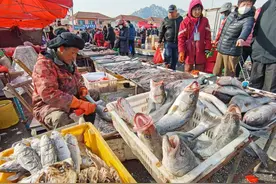 冬游青岛·探大集｜干的，鲜的，想要的海货，王哥庄大集都有！一个摊半天能卖一千多斤鱼图片