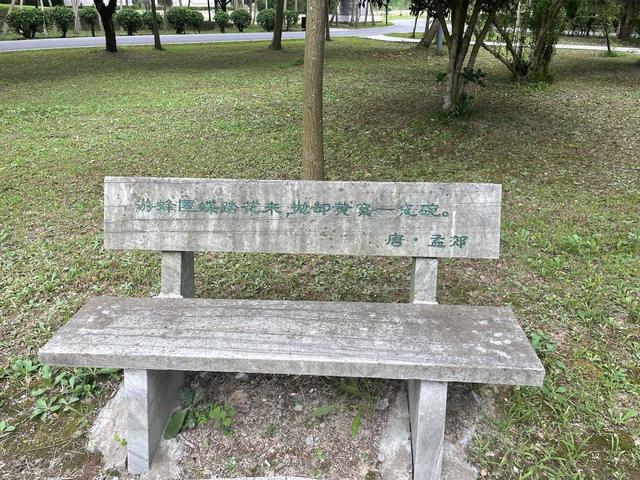 夏日自由行之一——中华麋鹿园