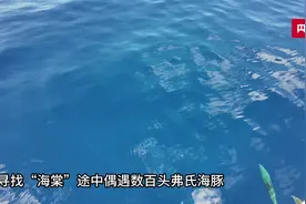 “追鲸”记丨期待相见！“海棠”的运动轨迹最近时距离船只仅有几十米图片