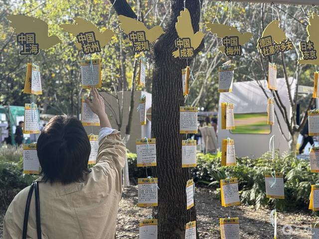 阳光正好，风很温柔，上海的秋天，阅读让人怦然心动