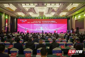 百位“天使”齐聚雁城，2025首届全球天使•祝融峰会在衡阳举行图片