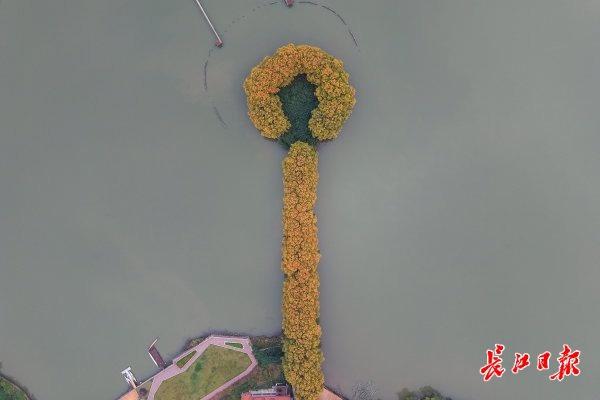 东湖里藏着一把“金钥匙”