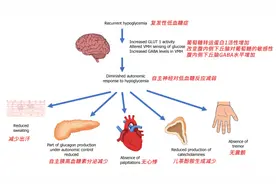 低血糖真的很可怕，严重会要命！！！别再不当回事了！图片