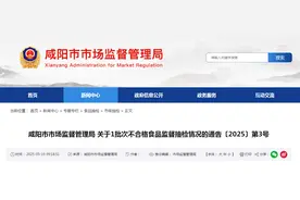 陕西省咸阳市市场监督管理局关于1批次不合格食品监督抽检情况的通告〔2025〕第3号图片