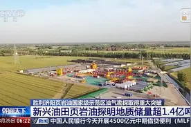 取得重大突破 新兴油田页岩油探明地质储量超1.4亿吨图片