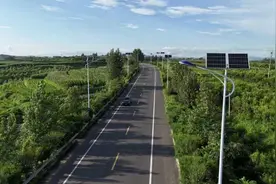 “照我回家”点亮民生！临沂市沂水县国省道路干线实现路灯全覆盖图片