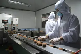 漯河：“冬有模式”助力乡村振兴图片