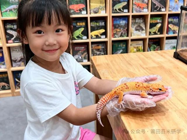 柚被拿捏了！仙游这场国庆派对，8天不重样！