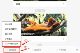 红山动物园可免费进！3.5万个惠民名额11月22日起报名图片