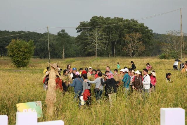 多图+视频！一起回看2025年白沙“啦奥门”雨林与您山兰文化活动精彩瞬间