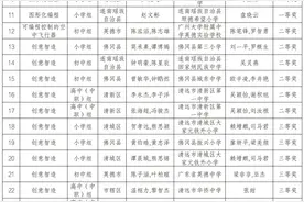 喜报！清远学子在2024年粤澳学生信息科技创新大赛中获佳绩图片