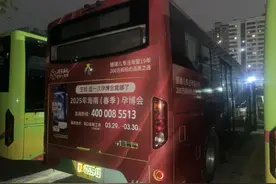 倒计时8天！2025年海南（春季）孕博会将于29日开幕图片