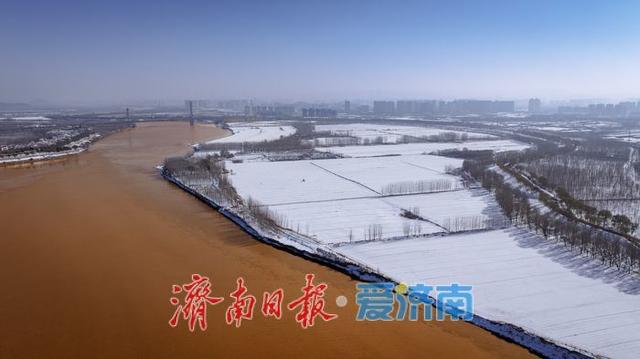 一年四季 泉在济南丨雪润黄河岸，济南冬日生态画卷徐徐铺展