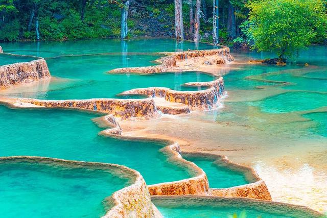 杨飞：大力推进文旅深度融合！阿坝邀天下宾客打卡“五个之州”｜我是发言人