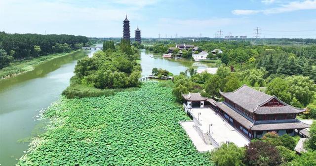 来宿城，打卡我“荷”你的浪漫