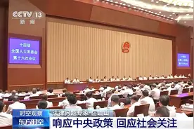 新修订的治安管理处罚法将如何重塑公共生活？图片