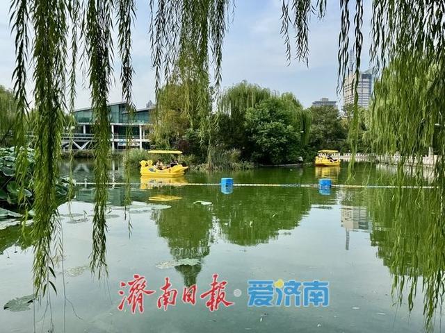 一年四季 泉在济南丨乘船赏景如入画 惬意度秋正当时