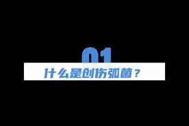 女子被梭子蟹扎伤进了ICU，处理这些海鲜一定要注意！图片