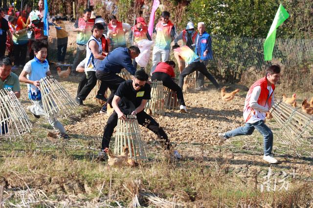 解锁年度玩法！2026，紫金“十大活动”邀你共赴四季之约