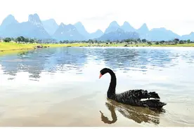 桂海晴岚国际旅游度假区： 最美户外“直播间”图片