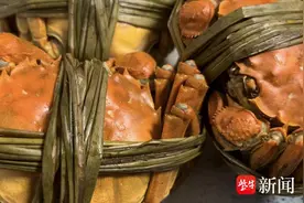 小丽逛菜场|公蟹最是肥美时，除了价格偏高简直没缺点图片