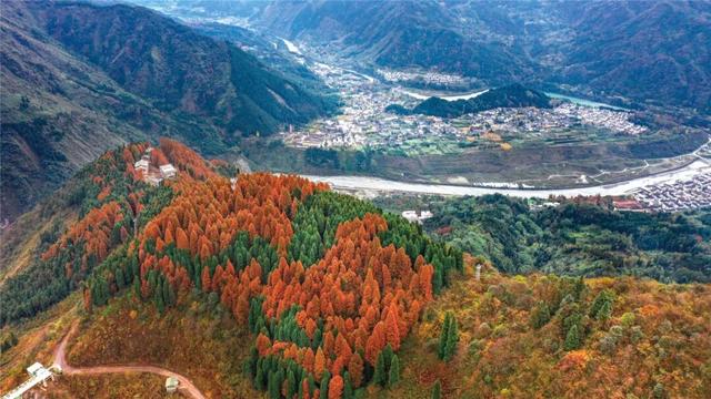 不搞虚的！宠粉天花板还得是龙门山！（文末有福利）