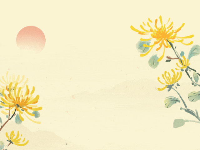 逛秋花集一定要看这个！攻略奉上