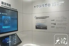 2025“活力中国调研行”丨蚌埠：全力打造智能传感产业新高地图片