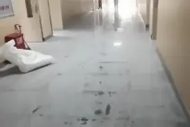 果然视频|新教学楼刚装修完就投入使用，家长担心孩子身体受影响图片