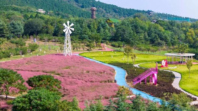 解锁“美拉德”色系！东平的秋天是懂氛围感的