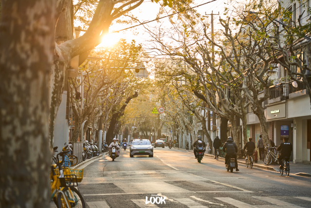 来上海为什么必逛愚园路？