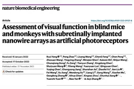 给眼睛装上太阳能，复旦大学专家团队让盲人重见光明图片