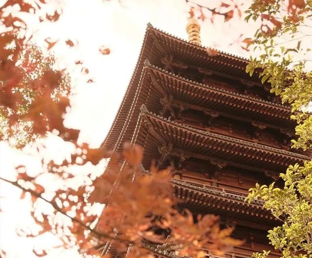 这些出片圣地，人少景美速收藏！