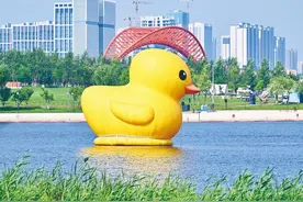 大黄鸭出没图片