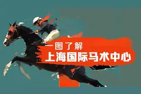一图了解上海马术中心，当“宝马”踏进这里，它将经历这些体验图片