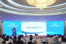 我国新兴产业用电量增长强劲 电力消费结构持续优化图片