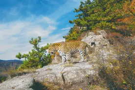 山水太行 康养胜地图片