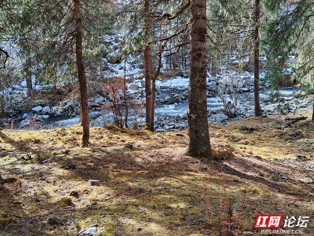 岁暖时刻丨玛嘉沟印记：从腿酸到心暖的高海拔之旅