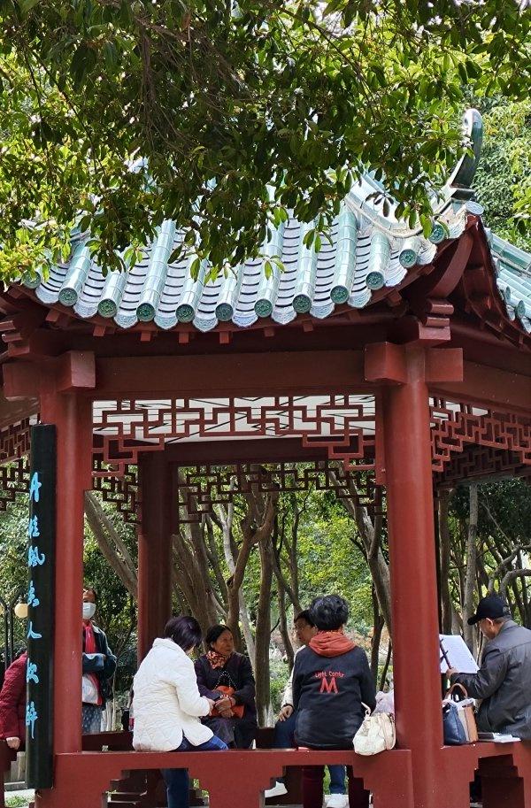 武汉第二波桂花开了，去这些公园可赏金桂满枝