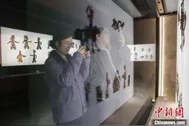 300余件不同风格流派皮影在江西省博物馆展出图片