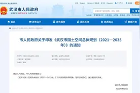 武汉市人民政府关于印发《武汉市国土空间总体规划（2021—2035年）》的通知图片