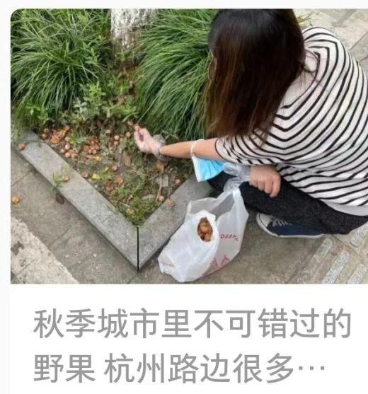 街头正大量出现！这种果子别乱捡，别生吃