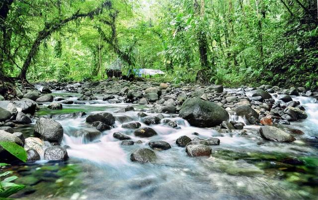 他初中毕业后终身不婚，荒野舍命工作20年，被一群博士封神