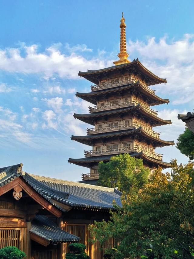 红了！上海枫叶已变色