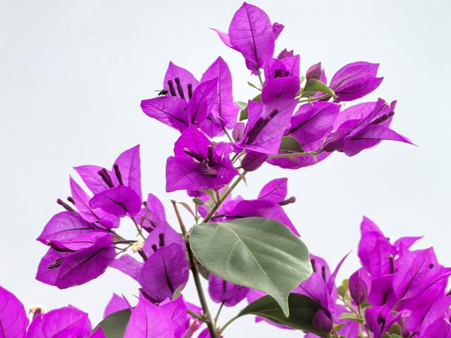 百花争艳！秋日温榆河公园宛如色彩海洋