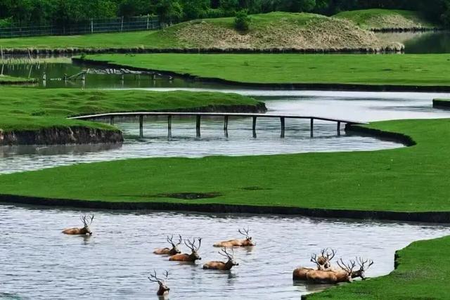 沿沪宁好去处丨苏超冠军城市有何看点？从西站出发，上海普陀→泰州走起