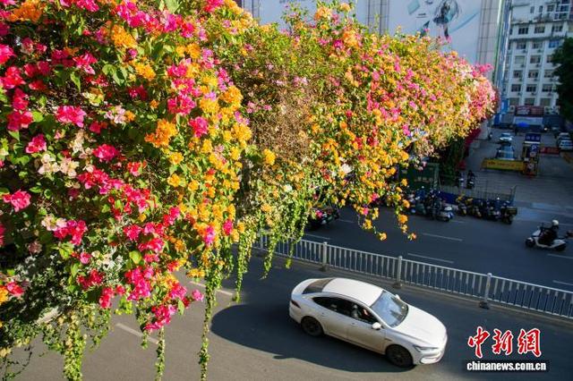 广西南宁：“彩虹”飞架闹市间